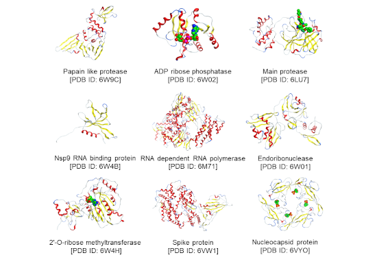 Graph showing the structure of the nine proteins analyzed using FMO method