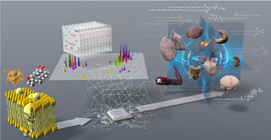 Schematic of the experiments