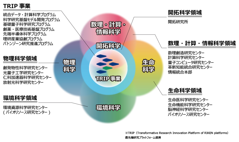 研究領域と研究センター概要図