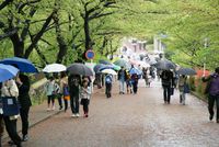 Image of Open Day on Wako Campus