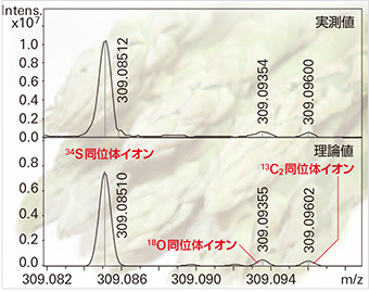 アスパラガスから発見されたアスパラプチンのS-オミクスによる同位体イオン測定結果