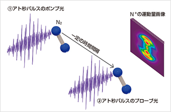 アト秒パルスによる窒素分子(N2)の観測 イメージ図