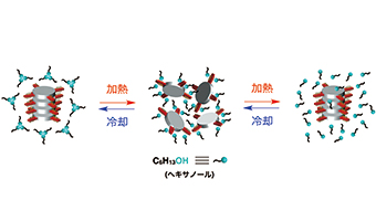 加熱・冷却により超分子ポリマーが形成される様子の模式図の画像