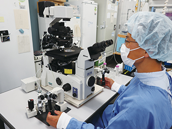 マウスの胎盤の試料を手にマイクロマニピュレーターを操作する的場研究員の写真