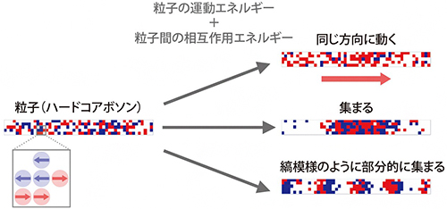 粒子の運動エネルギーと粒子間の相互作用によって引き起こされる集団行動の図