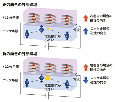 バネ分子(右巻き)による磁気抵抗効果の実験の図