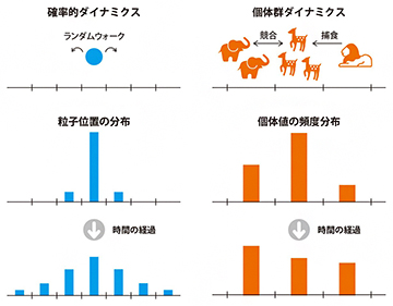 確率的ダイナミクスと個体群ダイナミクスの類似性の図