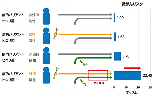 病的バリアントとピロリ菌感染情報を組み合わせて算出した胃がんリスクの図