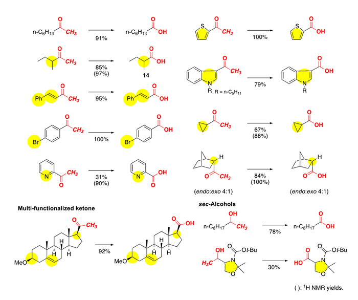 アセチル基からカルボン酸への新たな化学変換プロセスの図