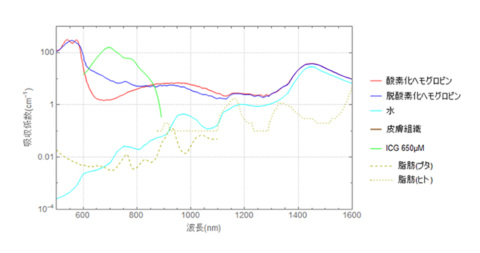 様々な生体組織等の吸収係数波長依存性の図