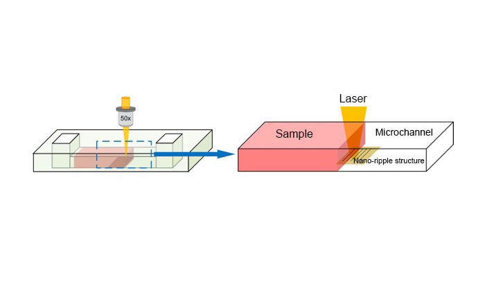 Image of the schematic diagram of the implementation for LI-SERS