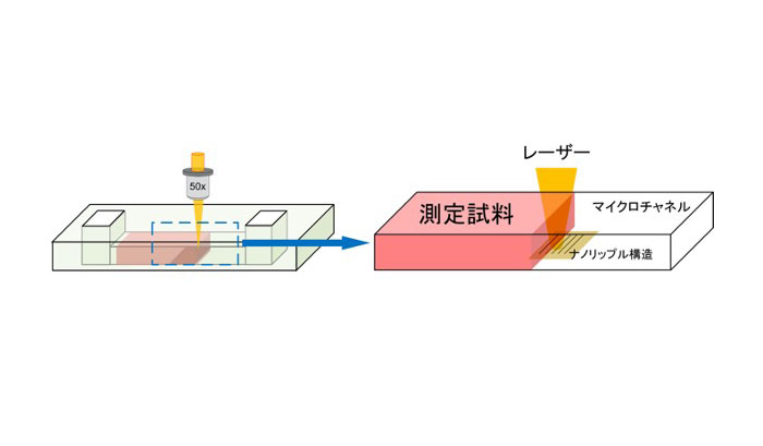 LI-SERSの実施形態の模式図の画像