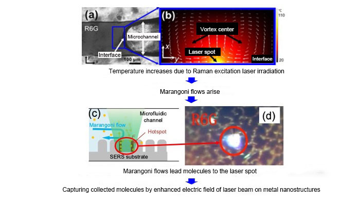 Figure of mechanism of ultra-sensitive analysis using LI-SERS