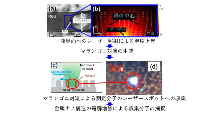 LI-SERS による超高感度分析のメカニズムの図