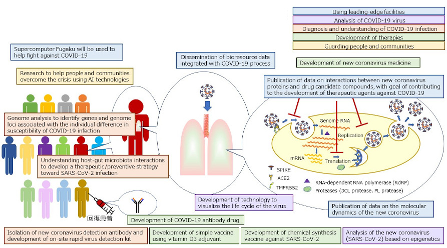 Image showing areas of research related to COVID-19