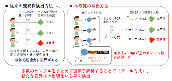 プール方式で新規変異株の検出と特定を可能にするマイクロ流体技術の開発の図