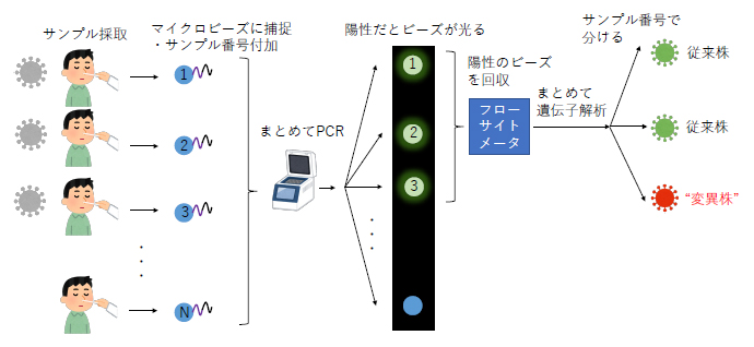 プール方式での変異株検出方法の図