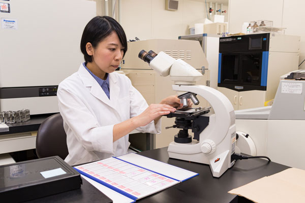 Image of Hashimoto working in her lab