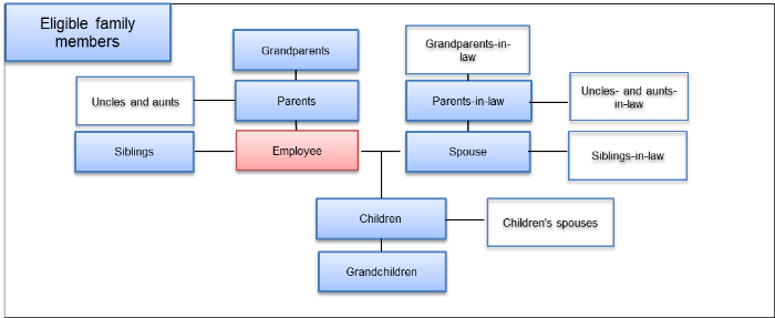 Diagram showing the eligible family members
