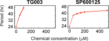 Graphs showing the lengthened periods