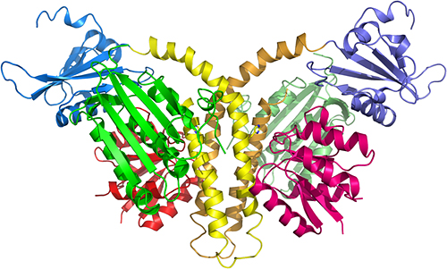 Figure of the HK/RR complex