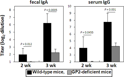 Figures showing GP2-dependent immune response