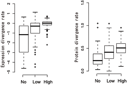 Figure showing divergence rate of expression and protein sequence in paralogous gene pairs