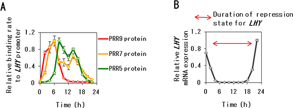 graphs showing the binding of PRR proteins