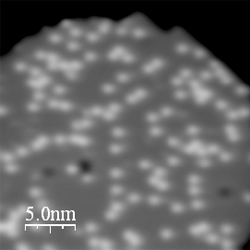 STM image of water molecules