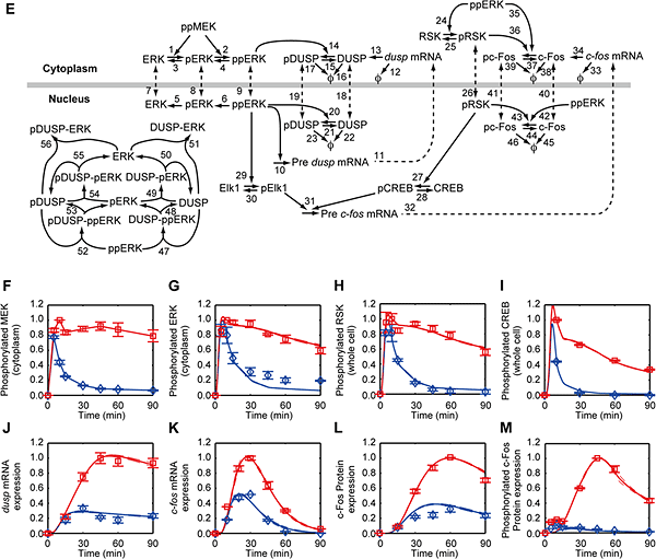 schematic showing pathways and research results