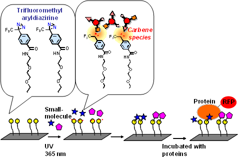 schematic of chemical array screening.