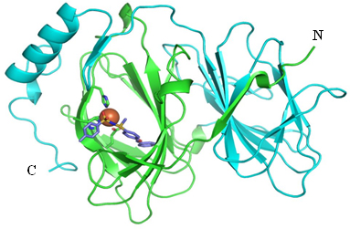 Crystal structure of the pirin-TPh A complex