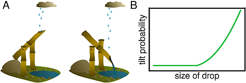 Images showing the shishi odoshi model