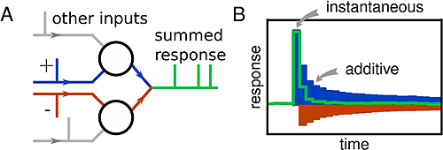 schematic and graph of separating the neuronal components 