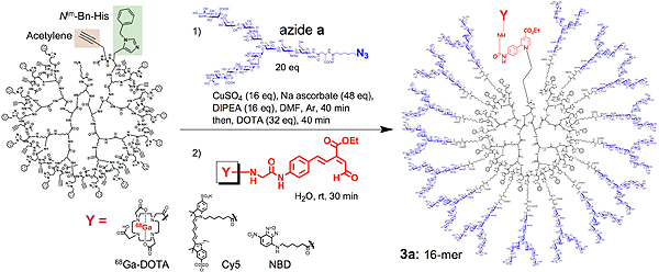 Schematic how to prepare N-glycan clusters