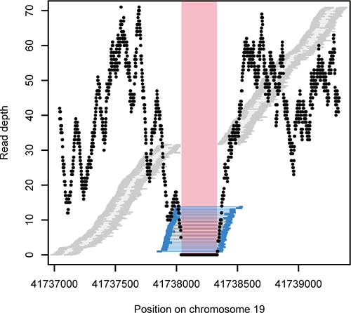 graph showing a detected deletion