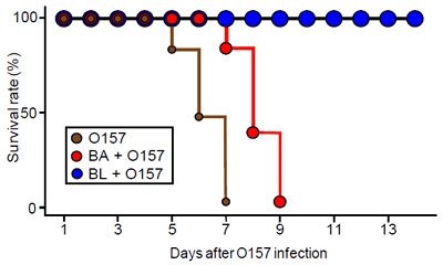 Figure showing survival rate of mice