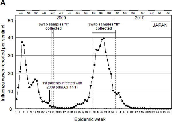 Graph showing influenza cases in Japan in 2009-2010 season