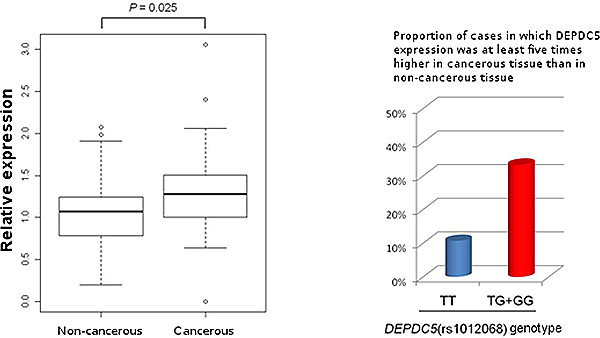 Figure comparing DEPDC5 expression level in cancerous liver tissue