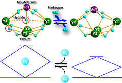 Image showing reversible hydrogen addition and release of heterometallic polyhydride clusters