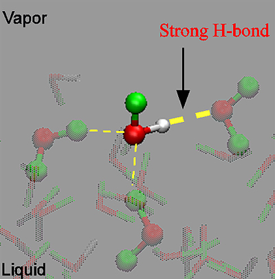 Snapshot in the MD simulation trajectory of the HOD / D2O mixture.