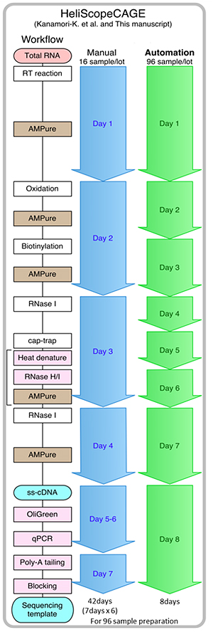 diagram of time needed for manual and automated processing