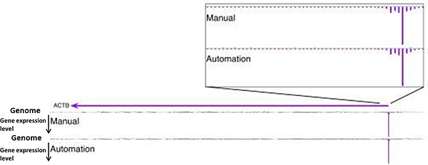 diagram showing manual and automated CAGE analysis are the same