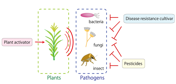 cartoon of crop protection methods