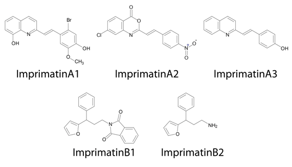 chemical structures of imprimatins