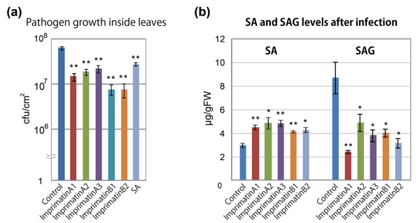 figures showing the effect of imprimatins