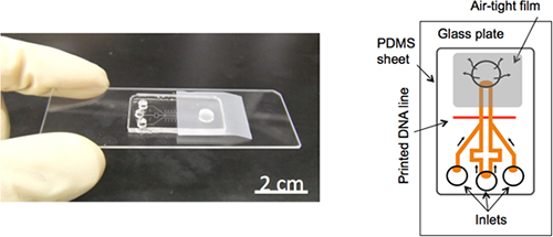 photo and diagram of the RNA detection microchip