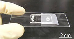 image of a power-free microfluidic chip