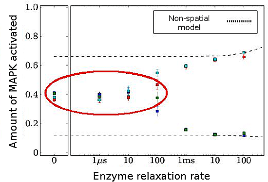 graph showing the MAPK simulation results