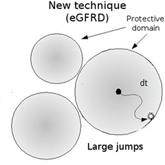 eGFRD simulation technique